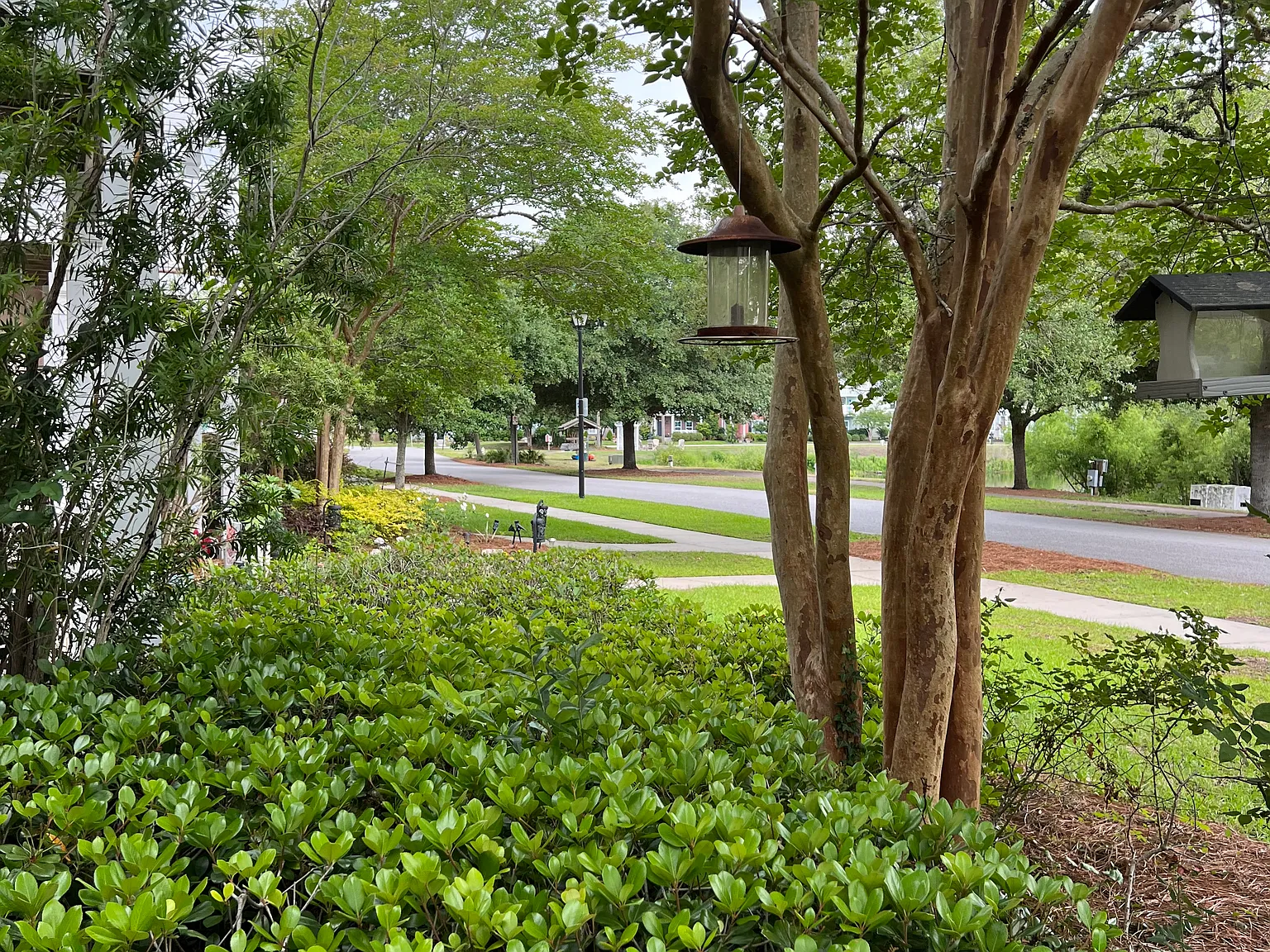 3 bed, 2.5 bath, 1750 sqft, $2,850 — Photo 3