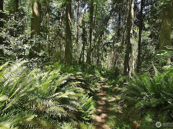 5th image of 0 XXXX Goss Ridge Road