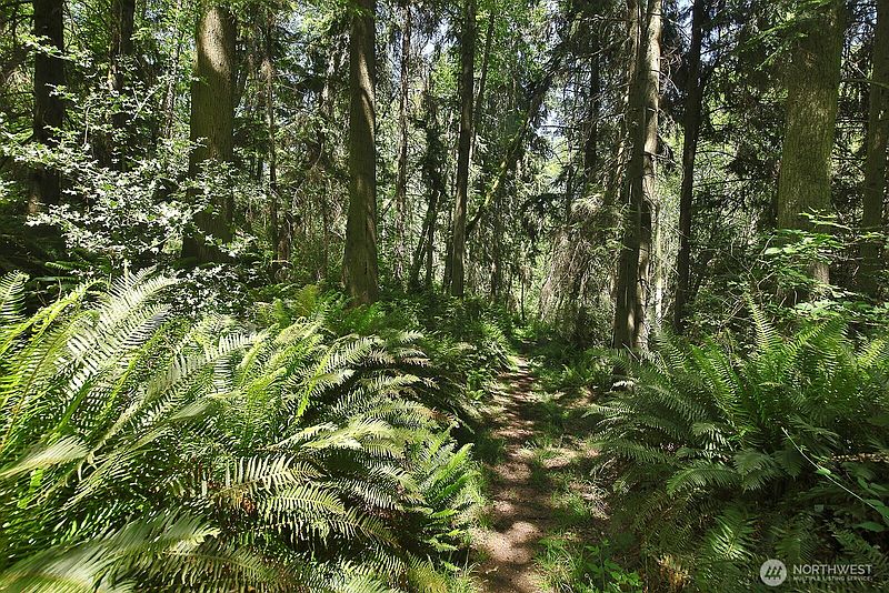 5th image of 0 XXXX Goss Ridge Road
