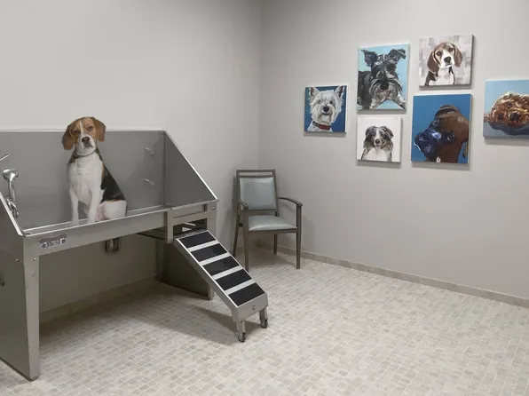 The Cascades of Frederick - Ages 62+, 360 Prospect Blvd, Frederick, MD 21701