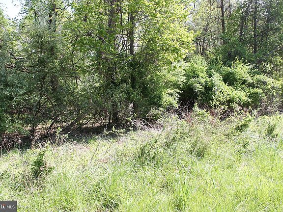 4th image of 52 Hilltop Trl