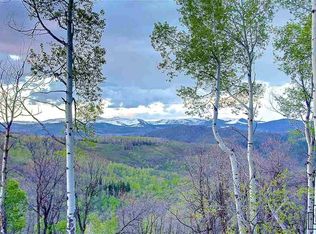 56125 Olive St, Clark, CO 80428