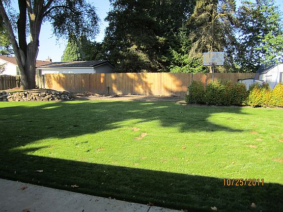 Back yard