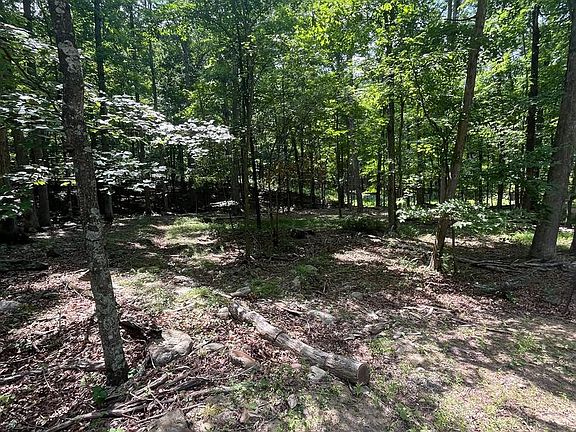 2nd image of 83 Seneca Ridge Rd
