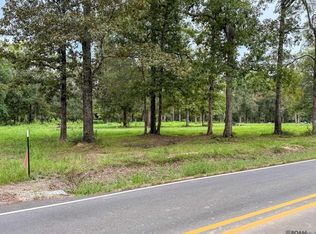 20137 Perrilloux Rd, Livingston, LA 70754