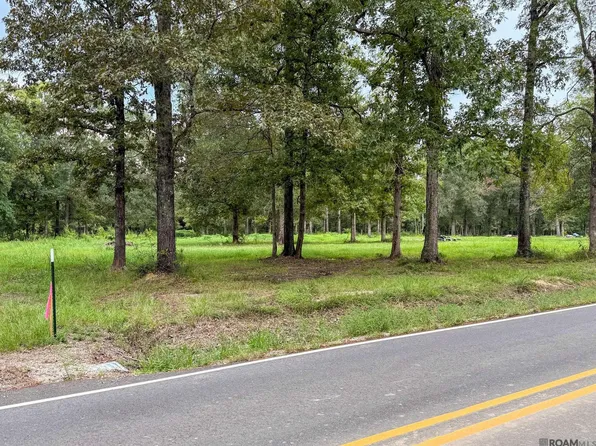 20137 Perrilloux Rd, Livingston, LA 70754