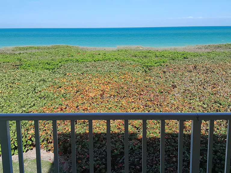 1550 S Ocean Dr #D24 — Photo 8