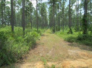 5556 NW Martin Sewell Rd, Altha, FL 32421