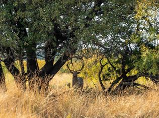 Buffalo4 Ranch Rd #290, Blackwell, TX 79506