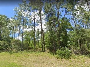 SW 129th Pl LOT 17, Ocala, FL 34473