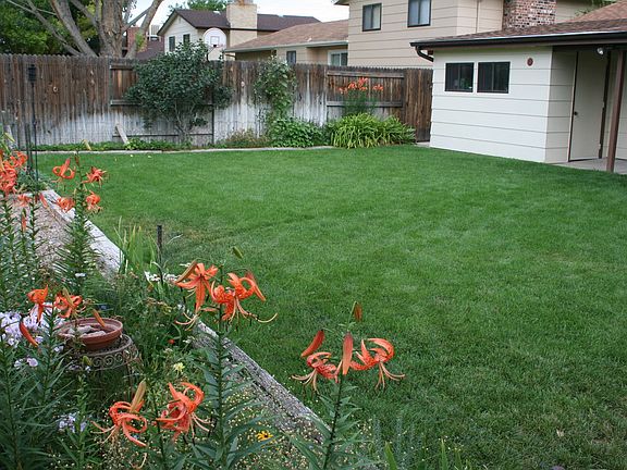 large yard and garden