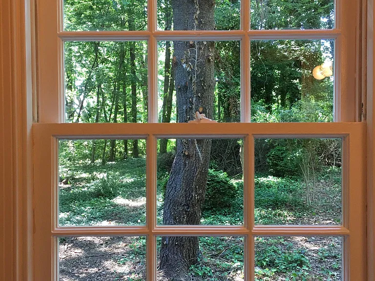 Park-like views out of windows.