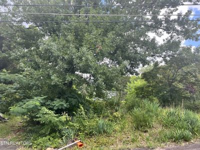 823 Gresham Rd, Knoxville, TN, 37918