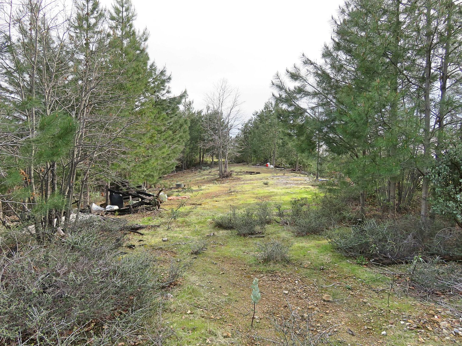 20 Acres Backbone Ridge Rd, Bella Vista, CA 96008 | Zillow
