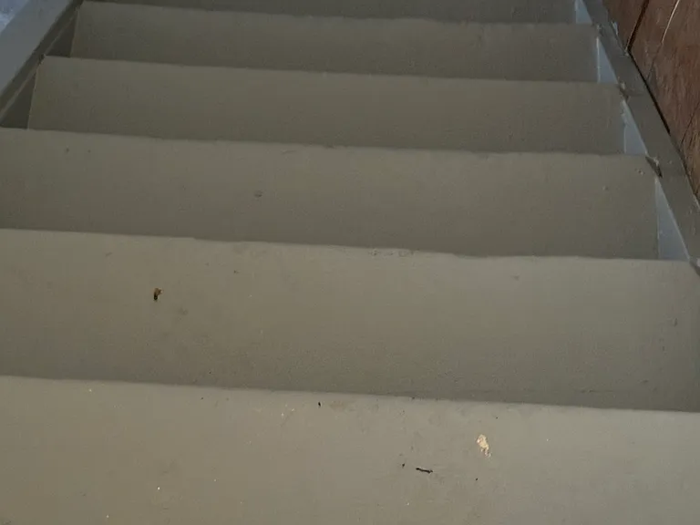 Basement stairs