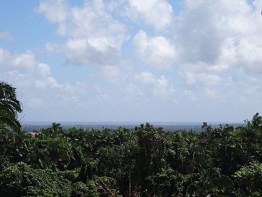 5th image of 116 Malama Pl Lot 23