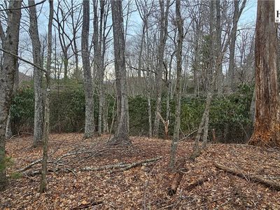Lot 3 Raven Rock Drive, Boone, NC, 28607