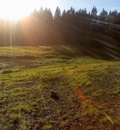 2nd image of 351 NE Tahuya Blvd