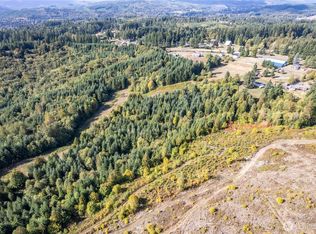 0 Lot 7 Spirit Lake Parcel WK3612009 Highway, Castle Rock, WA 98611