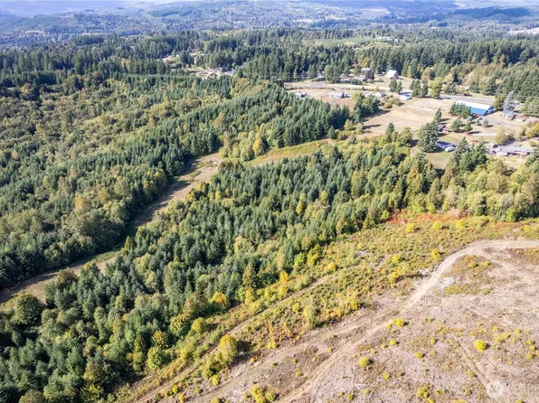 0 Lot 7 Spirit Lake Parcel WK3612009 Highway, Castle Rock, WA 98611