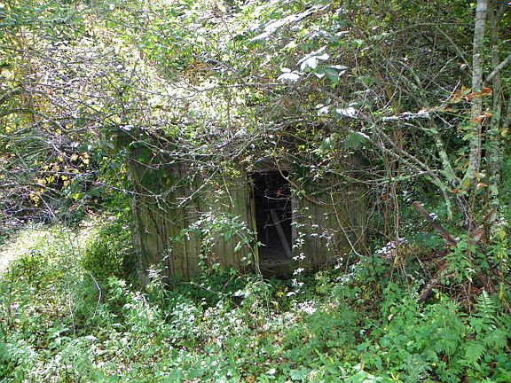 5th image of 367 Loy Ln