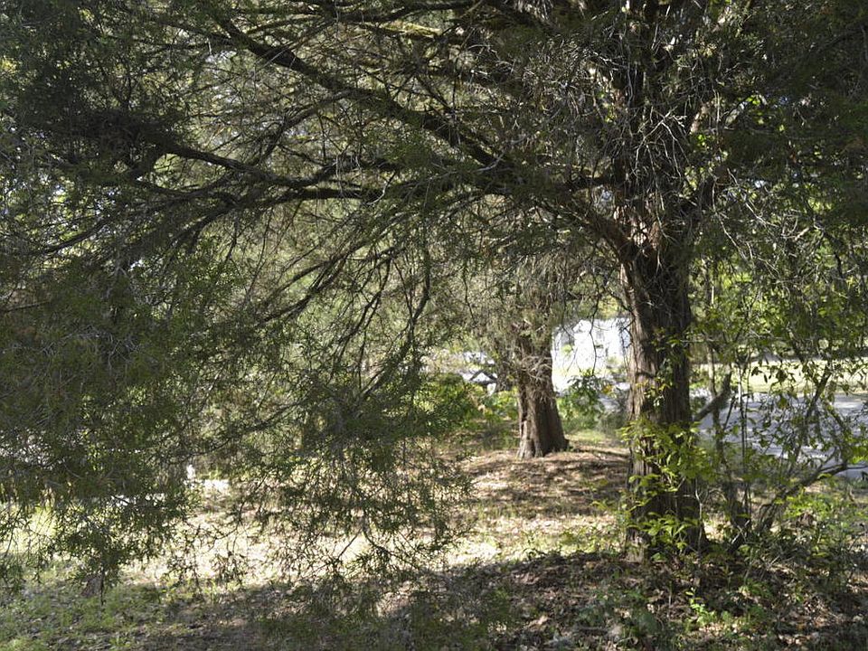 2nd image of 128 Ancrum Ln