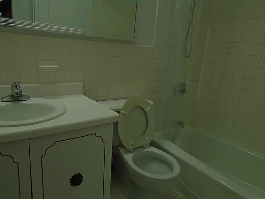 Rented by 18 REALTY | media 15
