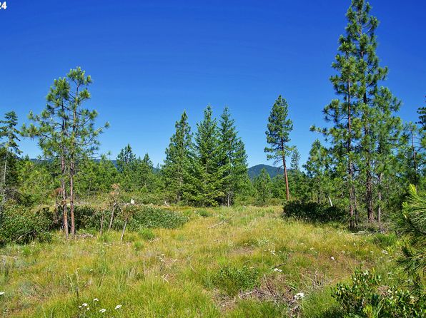 Byrkett Rd #2, Trout Lake, WA 98650