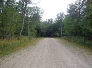 1160 Hopkins Rd, Lyons, MI 48851