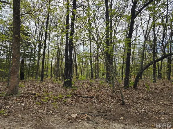 TRACT Greatview Ln #M, Lebanon, MO 65536