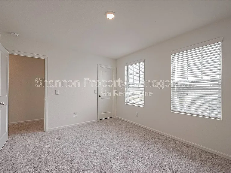 3993 Fringe Tree Ln — Photo 12