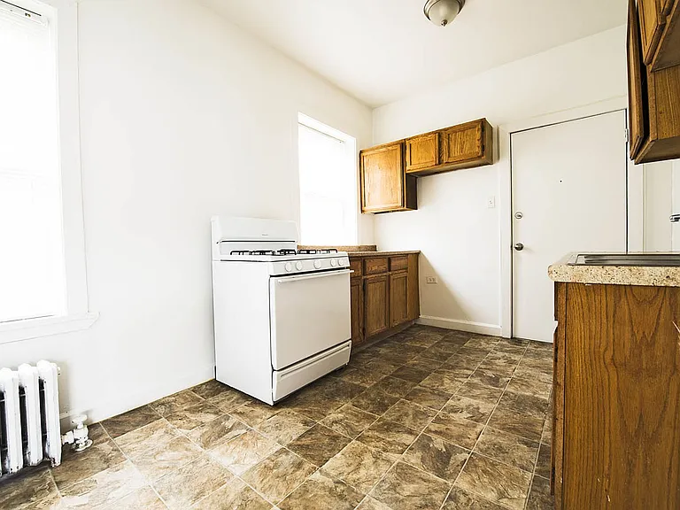 1115 S Karlov Ave 1115-17 S Karlov Chicago, IL 60624 — Photo 12