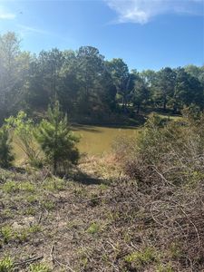 26770 Lakeshore Dr, Hempstead, TX, 77445