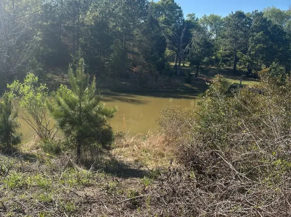 26770 Lakeshore Dr, Hempstead, TX 77445