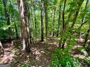 0 Nighthawk Ct LOT 56, Monticello, GA