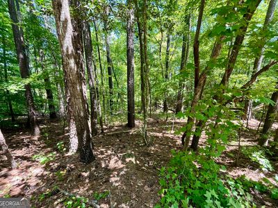 0 Nighthawk Ct LOT 56, Monticello, GA, 31064