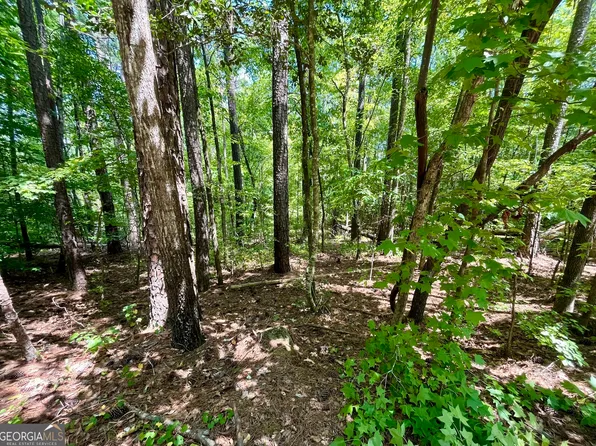 0 Nighthawk Ct Lot 56, Monticello, GA 31064