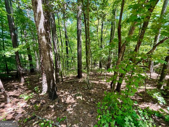 0 Nighthawk Ct Lot 56, Monticello, GA 31064