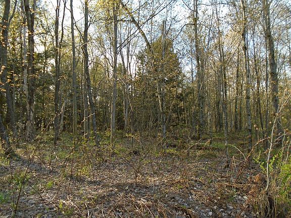 5th image of Woodpecker Ln
