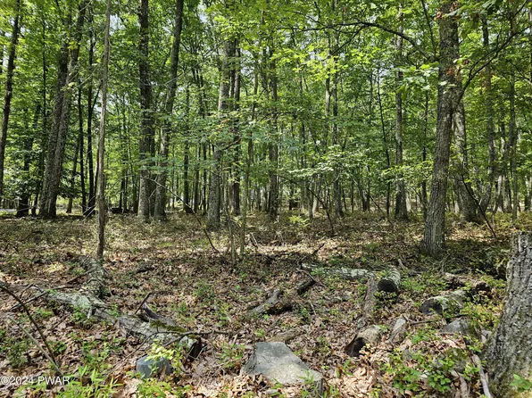 20 Cove Point Cir, Lakeville, PA 18438