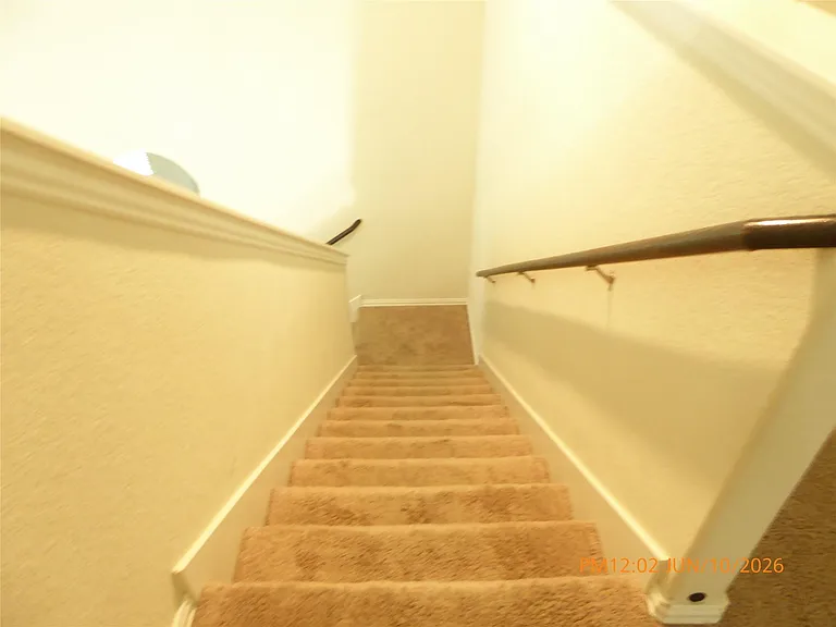 6319 Shadowbrook Hollow Trl — Photo 18