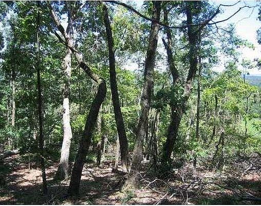 4th image of 2054 County Road 3027