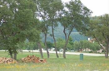 1st image of 24900 Stableford Cir