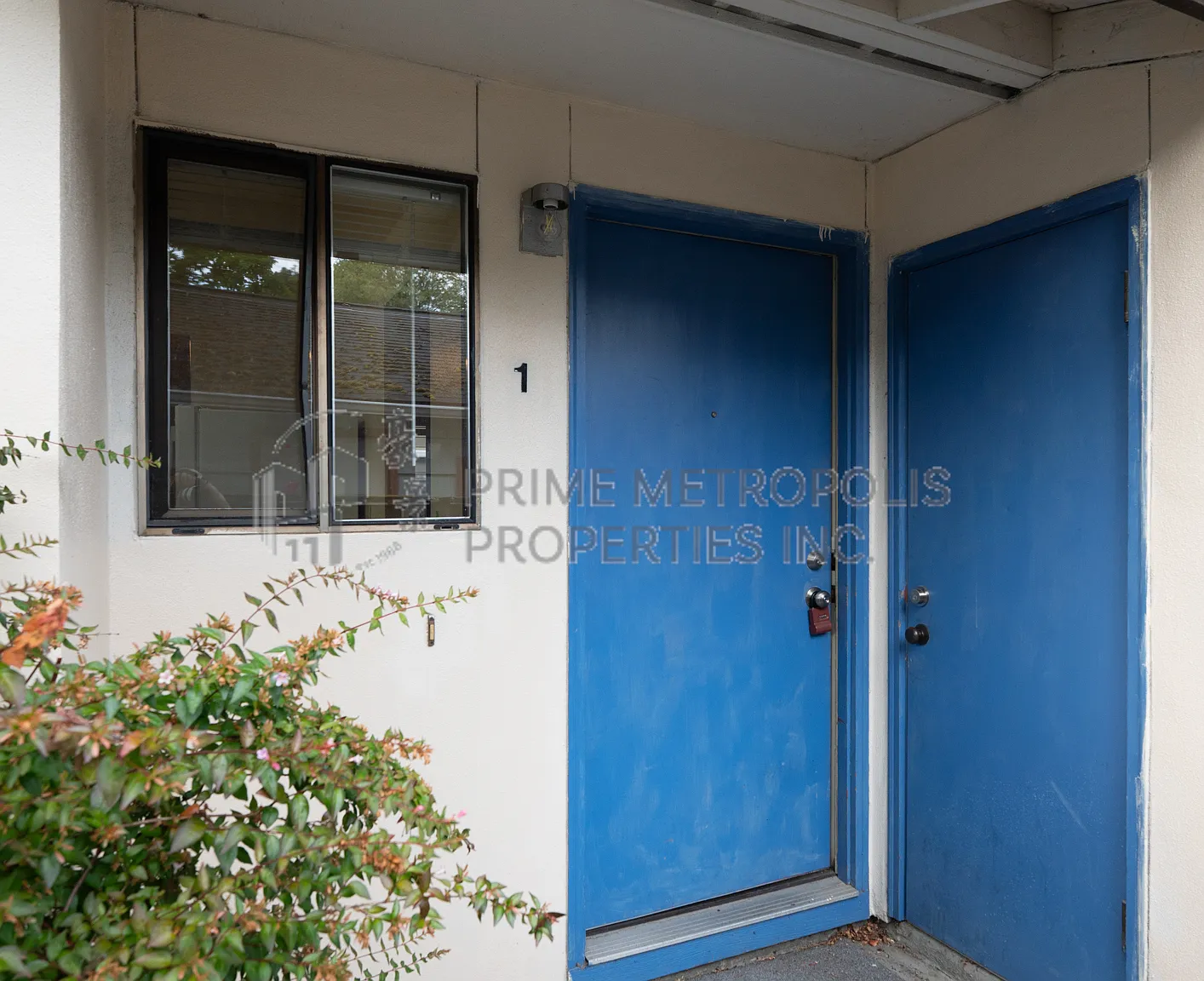 8606 23rd Ave NE Seattle WA 98115 - LCG - 1 — Photo 3