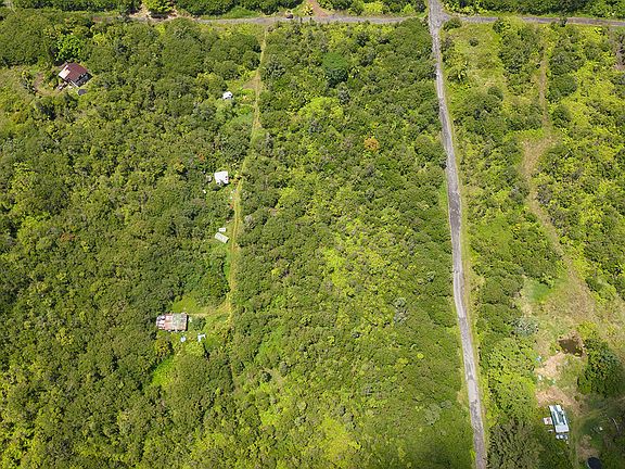 2nd image of Road 4 Kea #Io