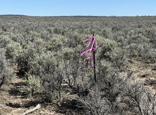 Browns Valley Rd, Christmas Valley, OR 97641