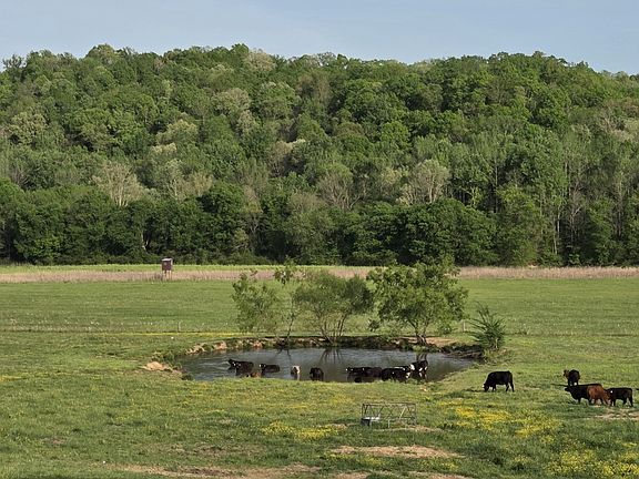 3rd image of 0 Red Bank Rd