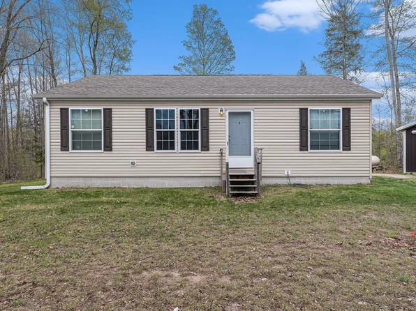 23604 Adams Rd, Copemish, MI 49625