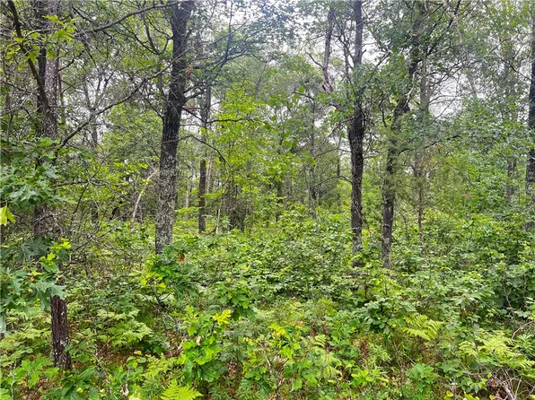 N13775 Flowage Road, Minong, WI 54859