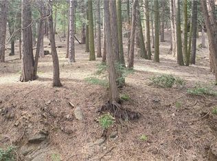 44 Reservoir Rd, Cedarpines Park, CA 92322